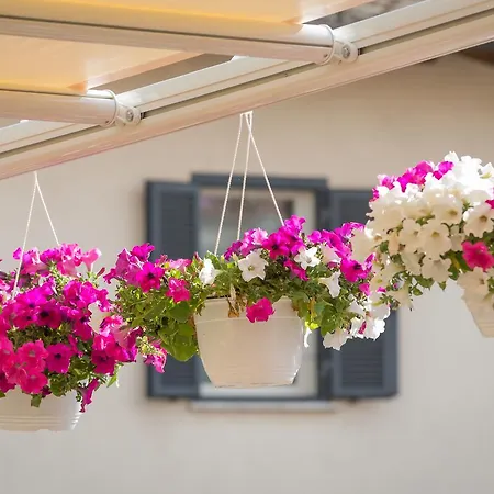 Mali Trevignano Piccolo Guest house *